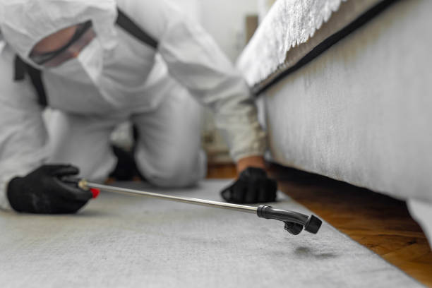 Professional Pest Control technician working in Wynantskill, NY
