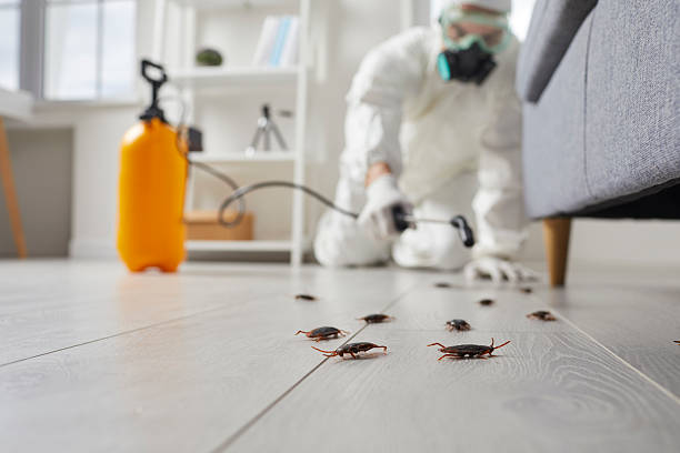 Trusted Cockroach Control service in Wynantskill, NY - Nex Pest Control